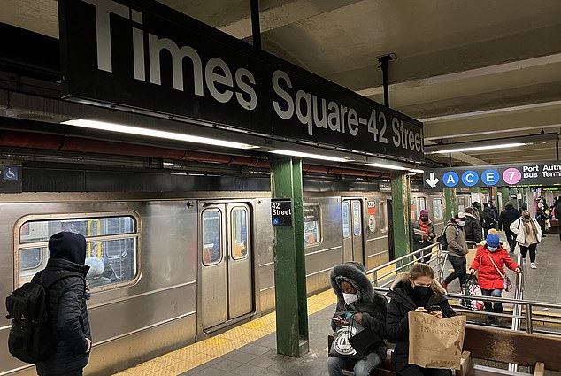 Mta To Introduce Platform Barriers At Three Subway Stations In Manhattan And Queens Daily Sun 6506